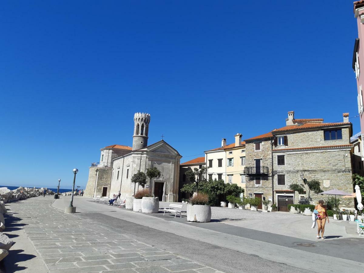 Punta Nana Mira Apartma *